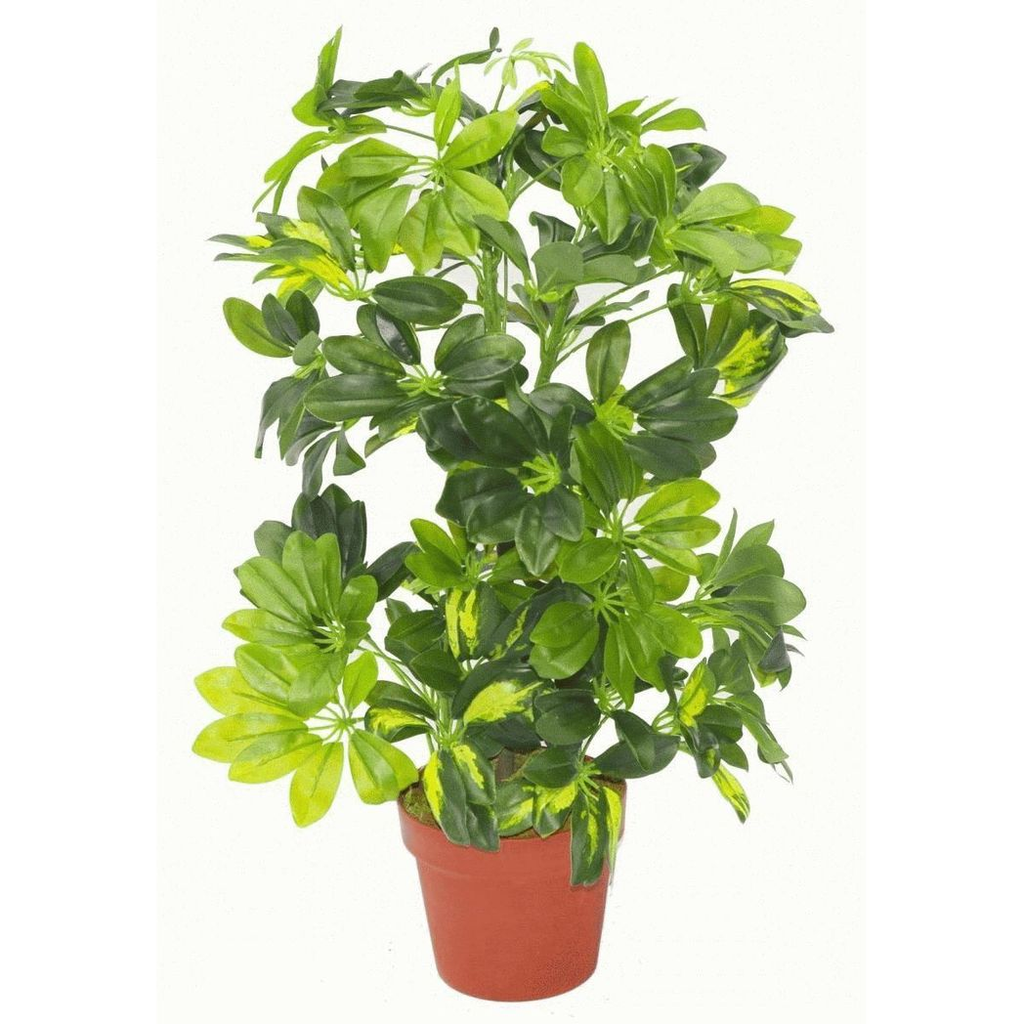75cm Artificial Arboricola Gold Capella Plant Silver Metal Planter