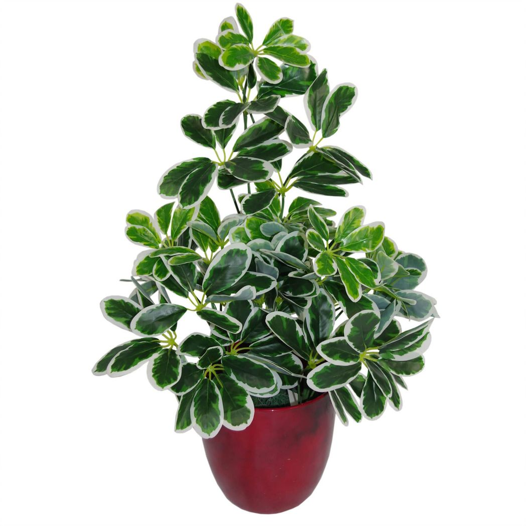 55cm Variegated Artificial Umbrella Plant