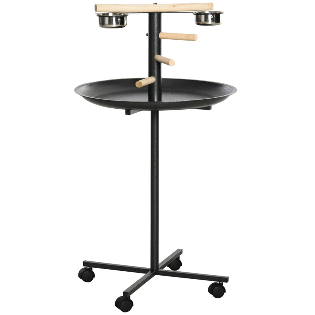 Bird Stand