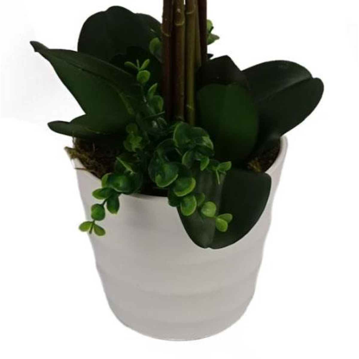85cm Artificial Deluxe Bush Orchid - White Flowers White Pot