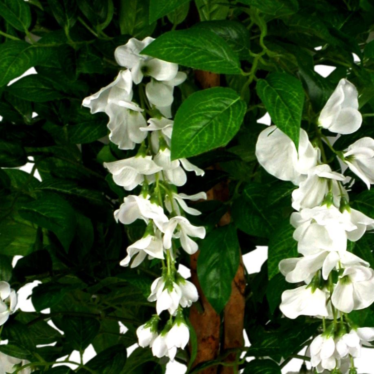 130cm Luxury Artificial Wisteria Tree White Flowers - Premium Range Silver Metal Planter