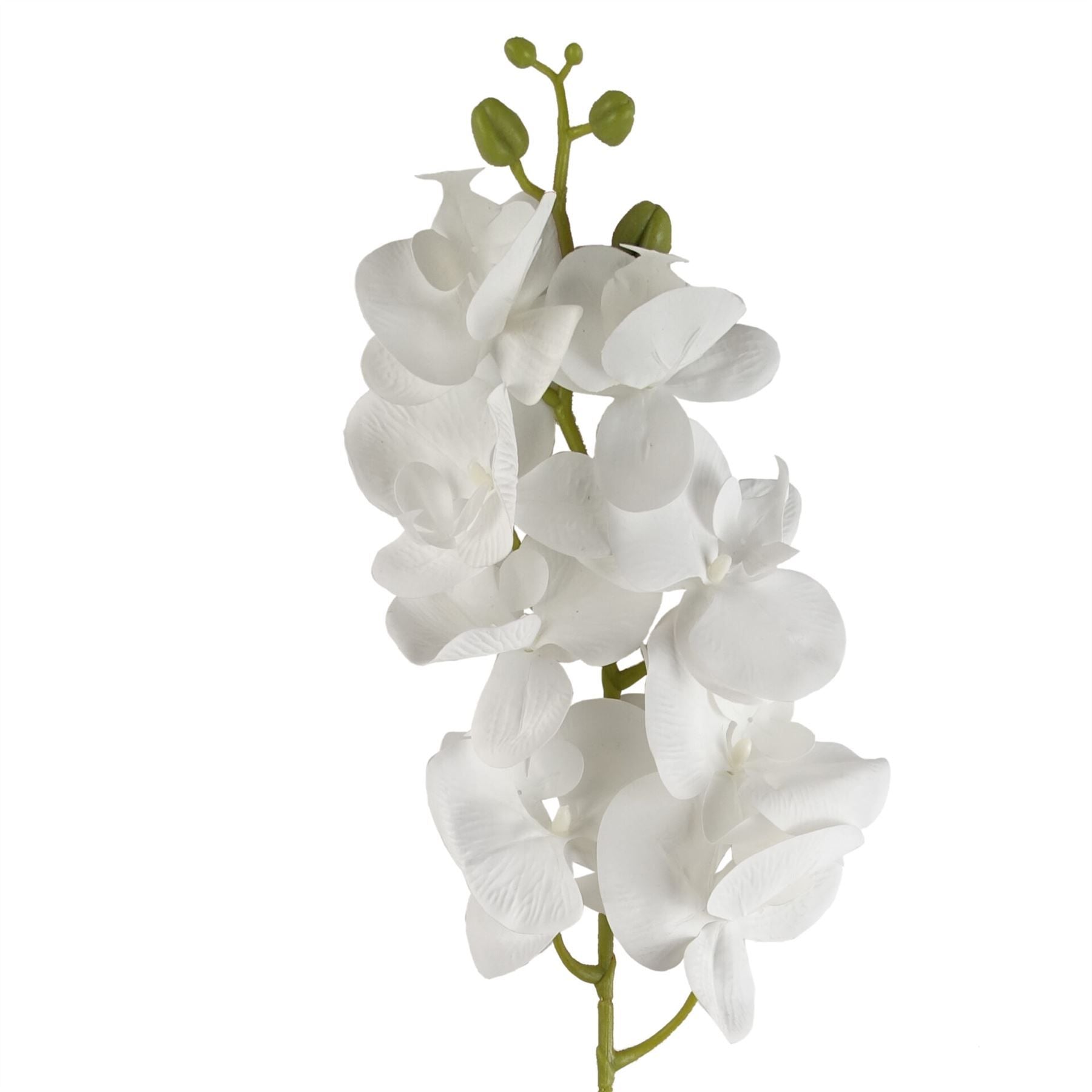Pack of 6 x 100cm Artificial Phalaenopsis Orchid White Stem