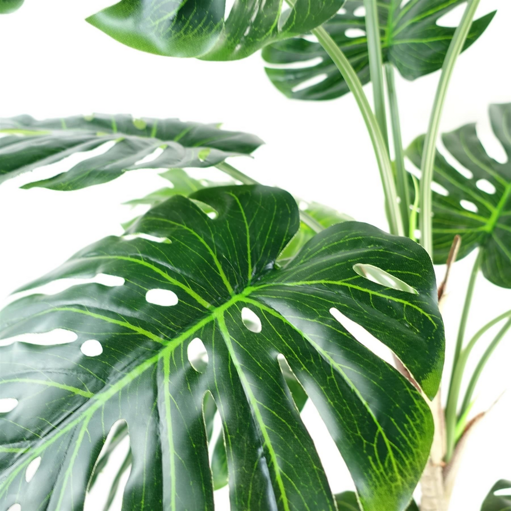 150cm (5ft) Luxury Monstera Plant Black Pot Copper Metal Planter