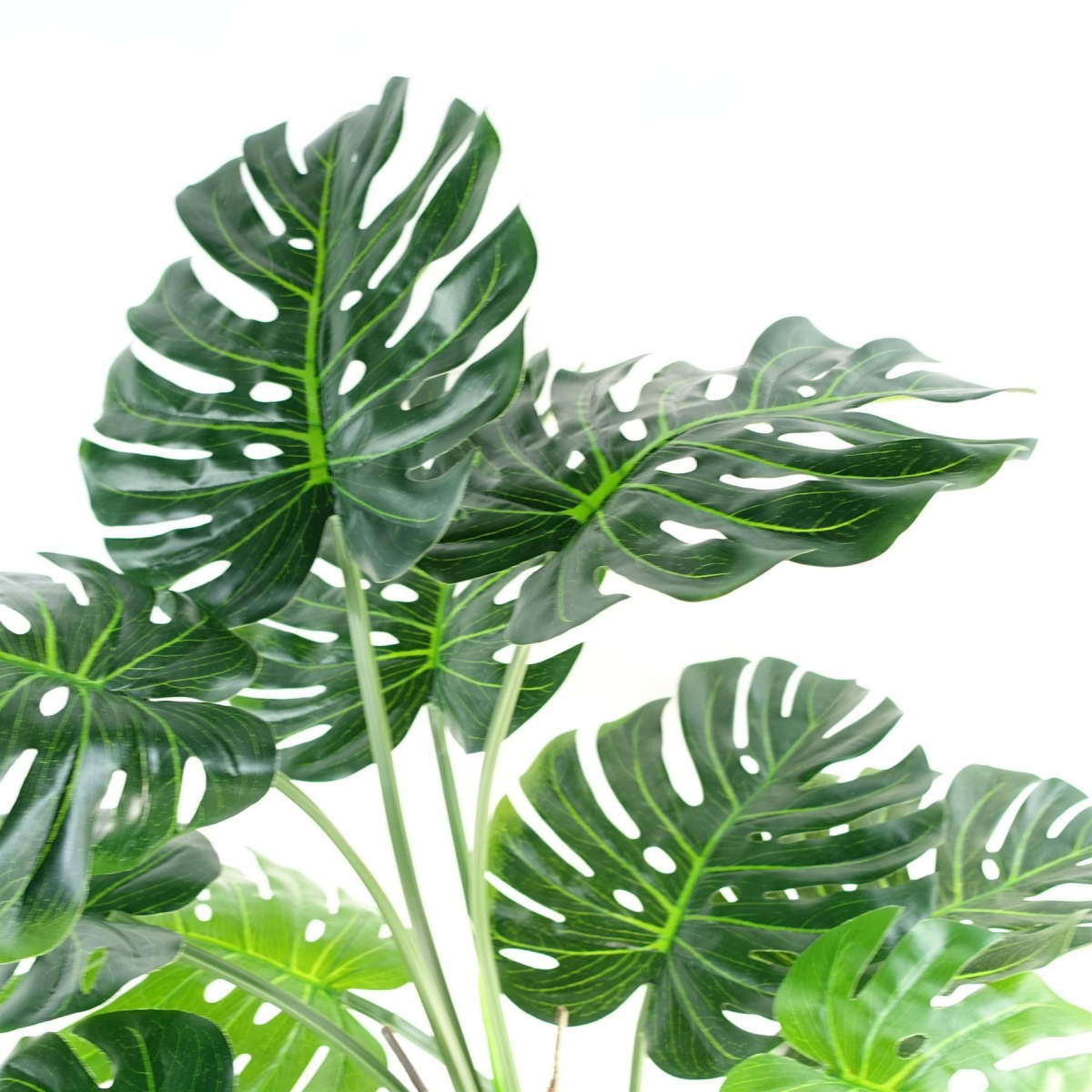 150cm (5ft) Luxury Monstera Plant Black Pot Copper Metal Planter