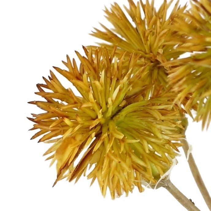 85cm Craspedia Stem Yellow Artificial