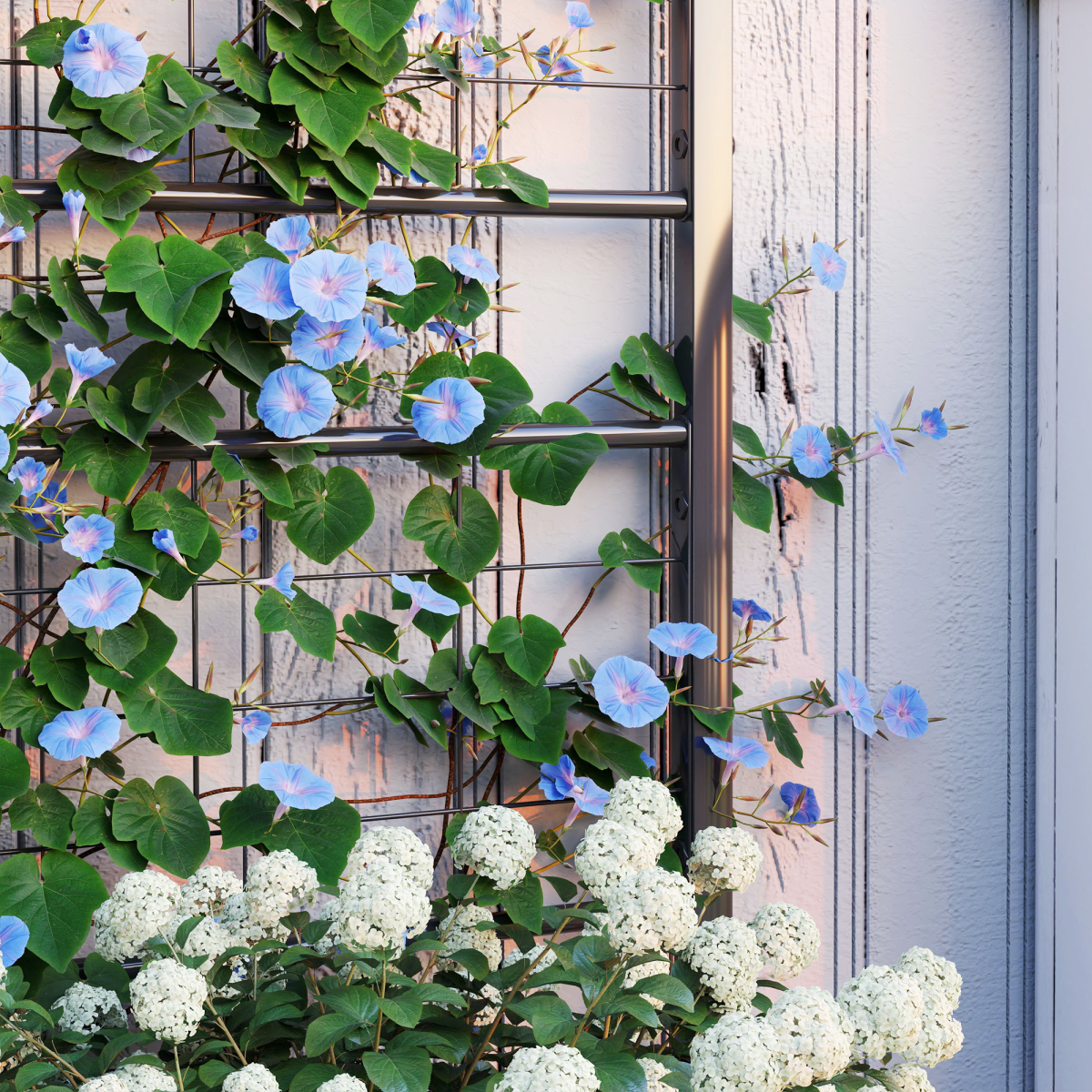 Outsunny Steel Raised Garden Bed with Trellis - Perfect for Climbing Plants!