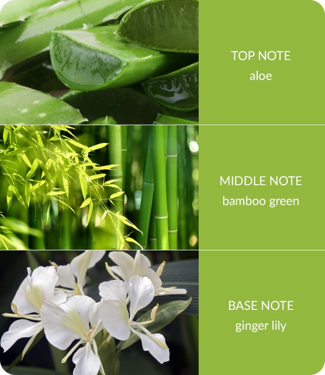 Bamboo & Ginger Lily Small Soy Candle  - 20 Hours Burn - Crackling Wick