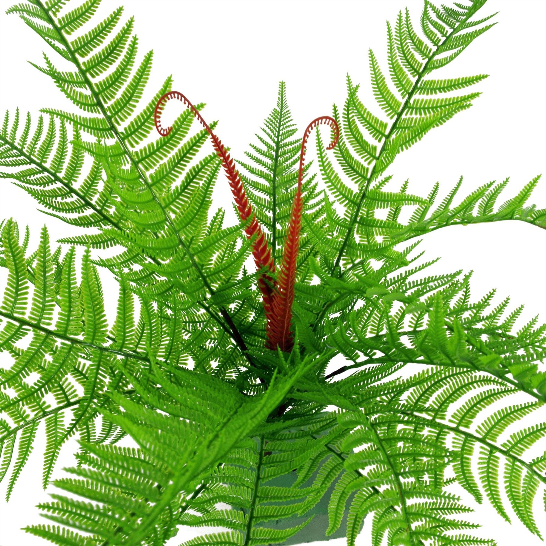 6 x 60cm Artificial Bushy Dixie Wood Fern Dark Green Plant