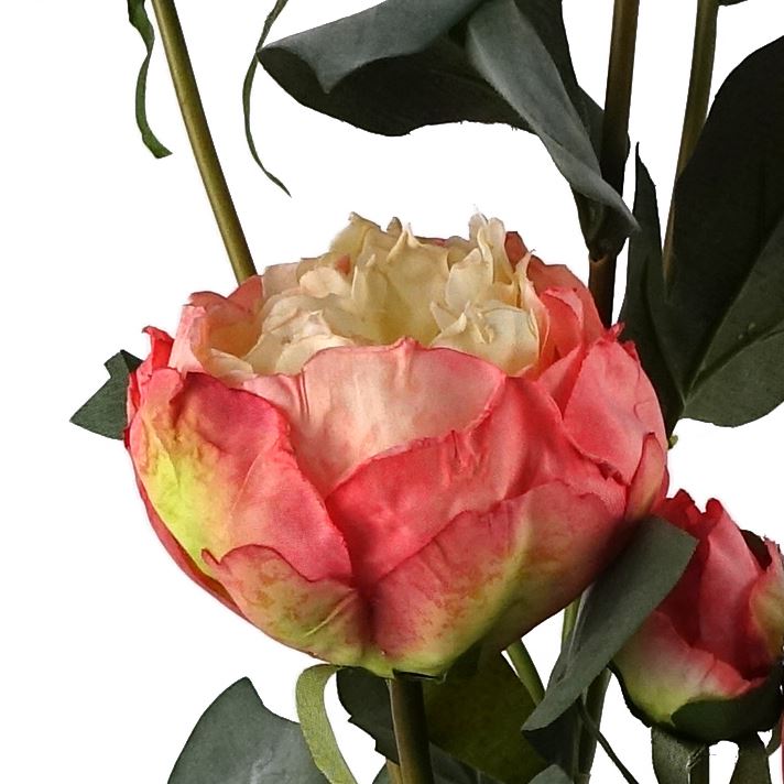 55cm Pink Peony Artificial Flowers Spray - 4 Flowers 3 Buds