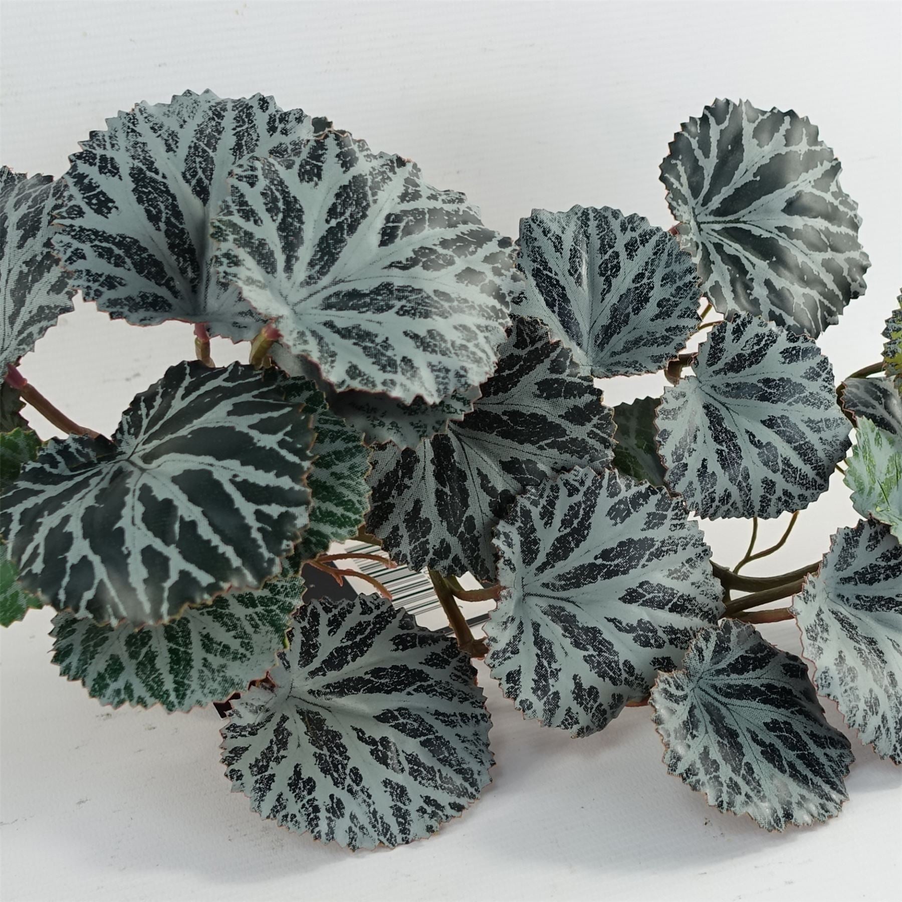 50cm Artificial Trailing Begonia Plant