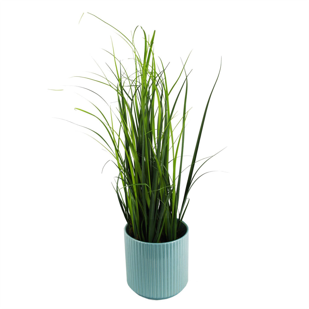 60cm Artificial Lemongrass Grass Plant