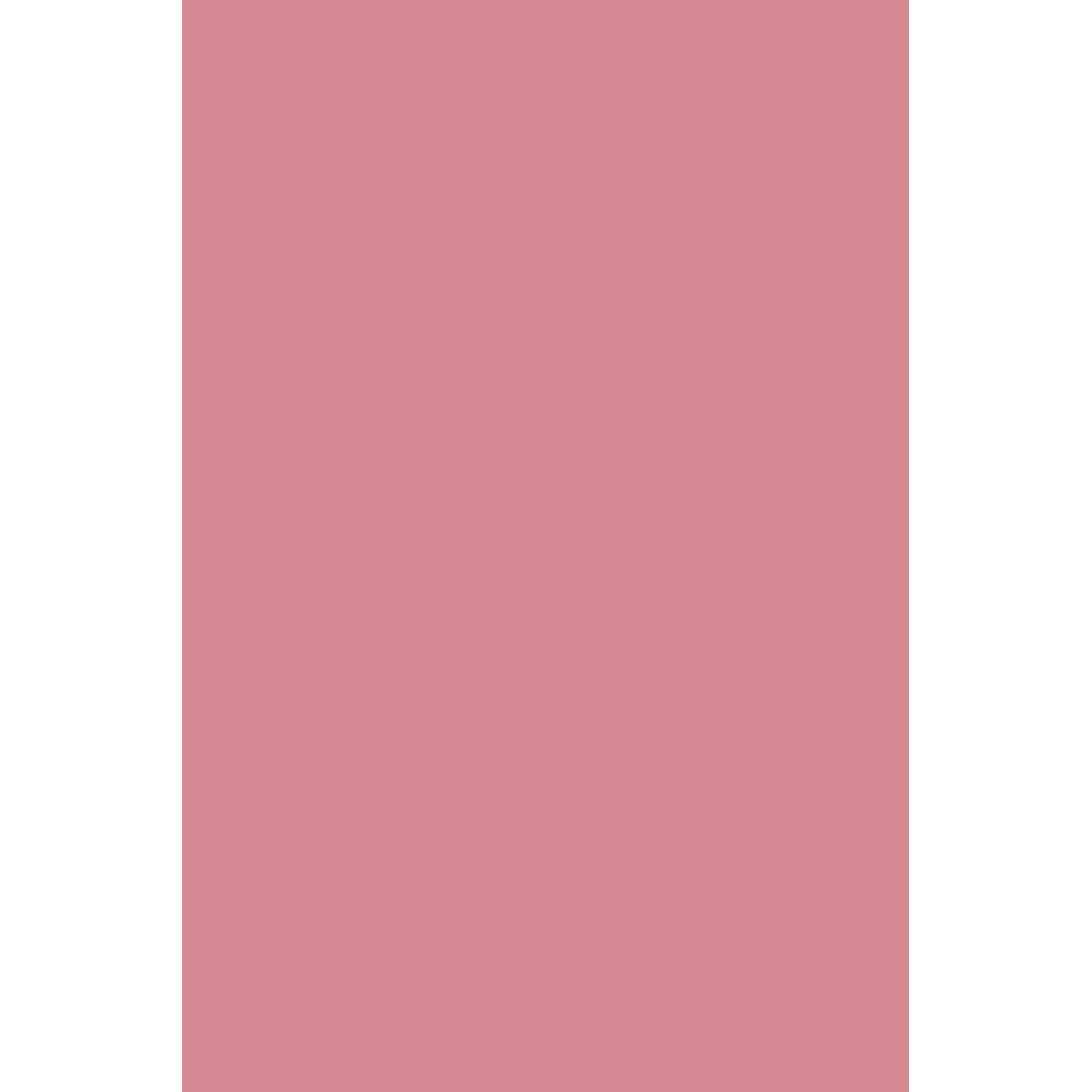 main.png