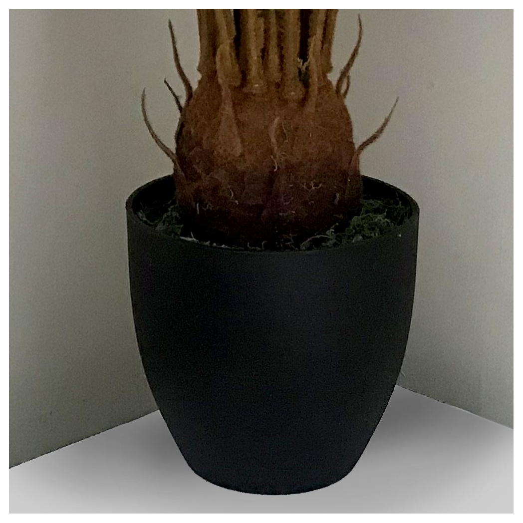 70cm Artificial Tropical Cycas Palm Plant