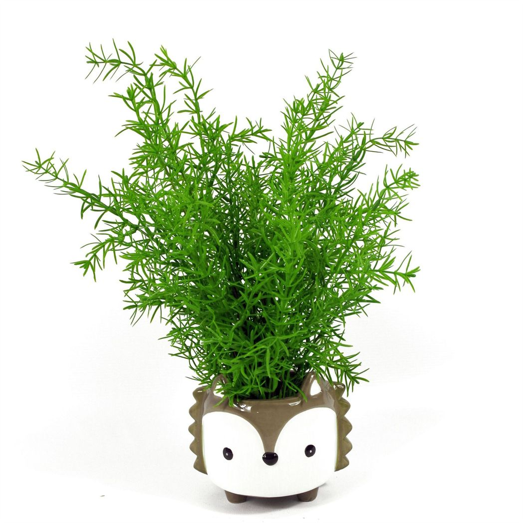 45cm Artificial Asparagus Fern Plant