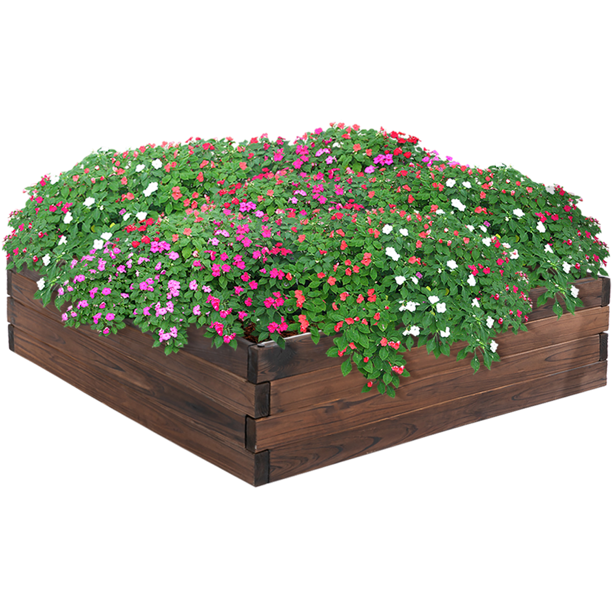 Stylish Wooden Raised Garden Bed Planter - 80x80x22.5cm for Home Gardening