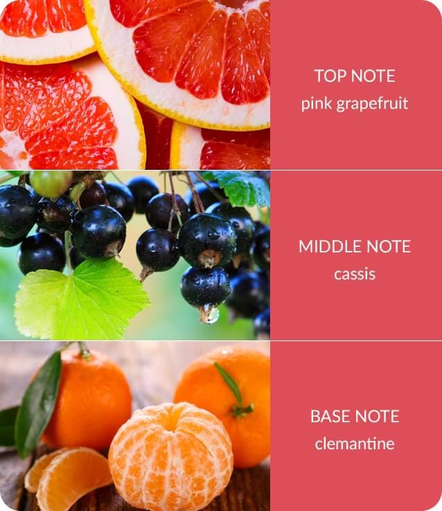 Awaken Your Senses: Pink Grapefruit & Cassis Essential Oil - 10ml Bliss