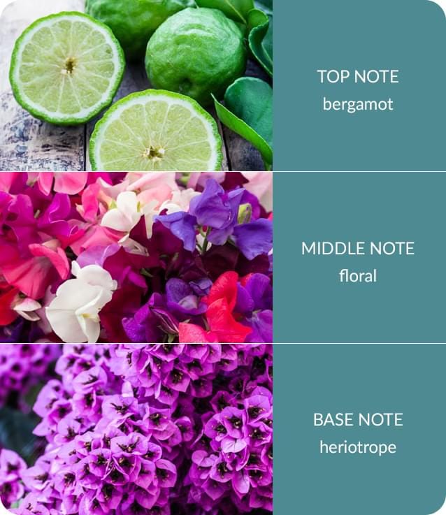 Sweet Pea Essential Oil Blend  - 10ml Concentrated Oil